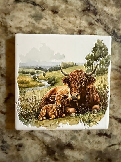 Highland Cow and Calf in the Meadow — Premium Ceramic Magnet