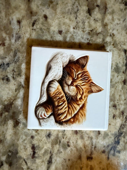 Sleeping Ginger Kitten — Premium Ceramic Magnet